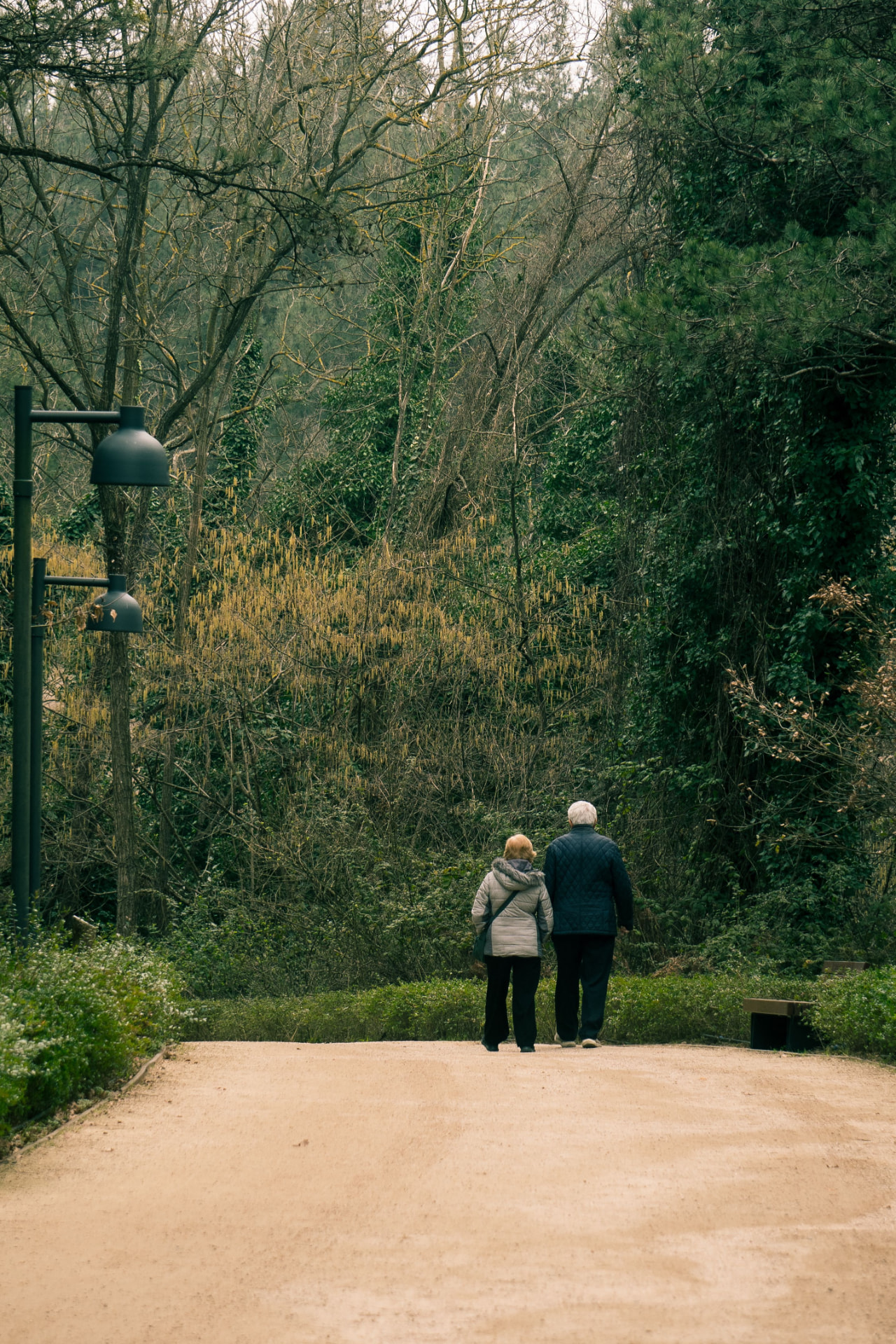 A couple walking together along a tree-lined path